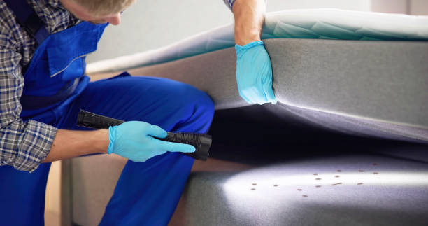 Best Flea Control Services  in Rosepine, LA