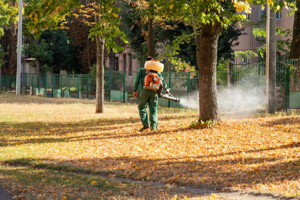 Best Wasp Removal Services  in Rosepine, LA