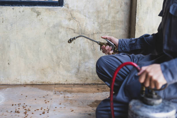 Best Best Pest Control Near Me  in Rosepine, LA